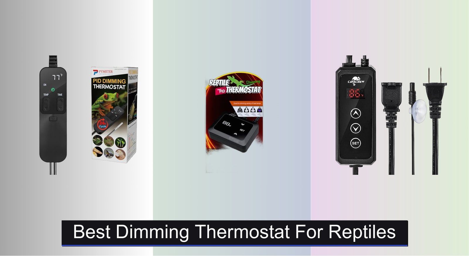 Choosing The Best Thermostat For Reptiles photo