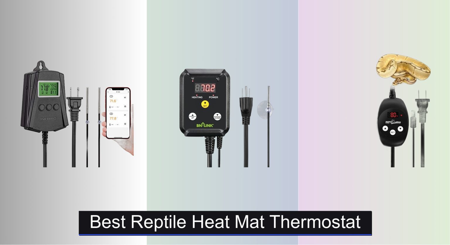Image showcasing Thermometers, Thermostats, and Timers - LLLReptile