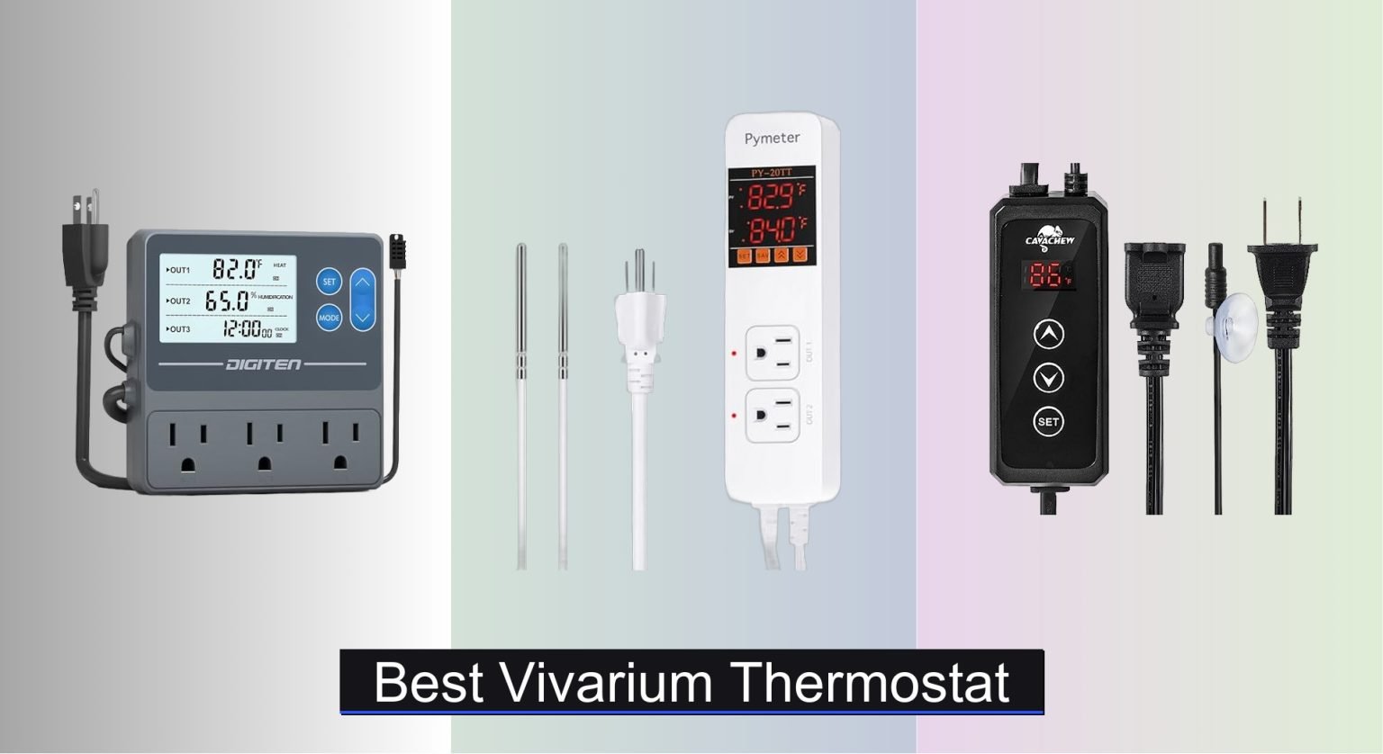 Tips For Proper Heat Mat Thermostat Adjustment In A Vivarium