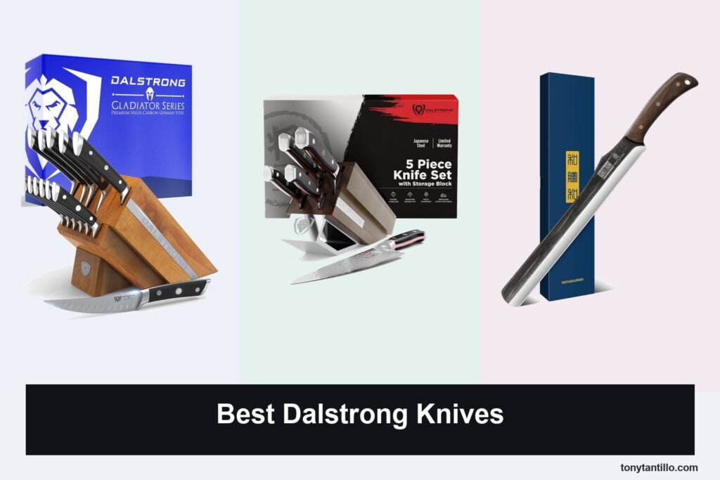 3 Best Dalstrong Knives for 2026