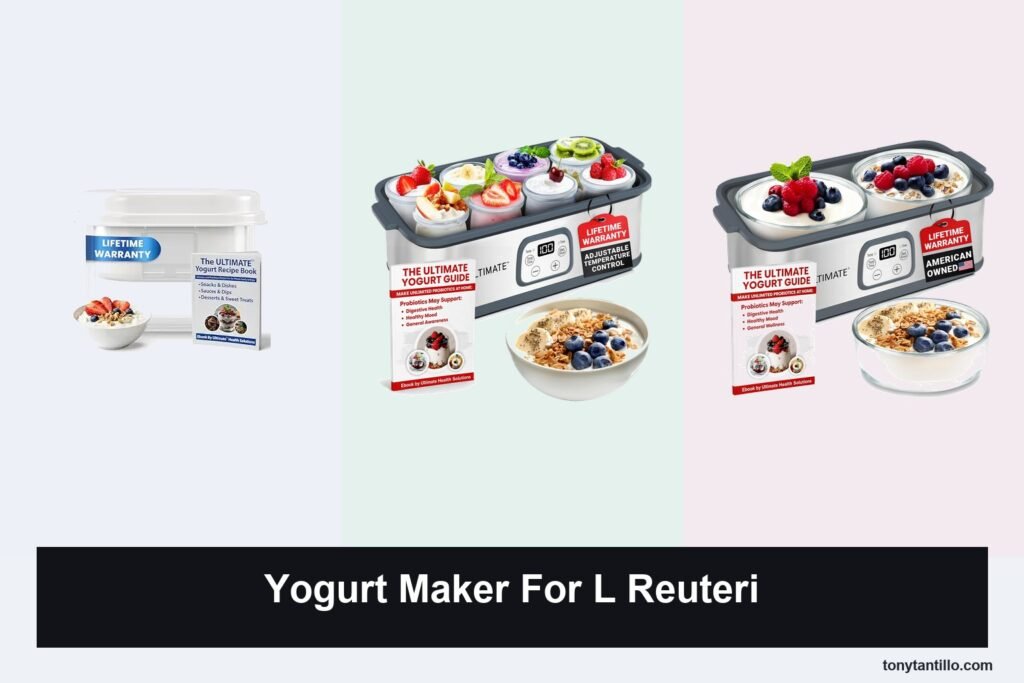 6 Best Yogurt Makers for L. Reuteri in 2026