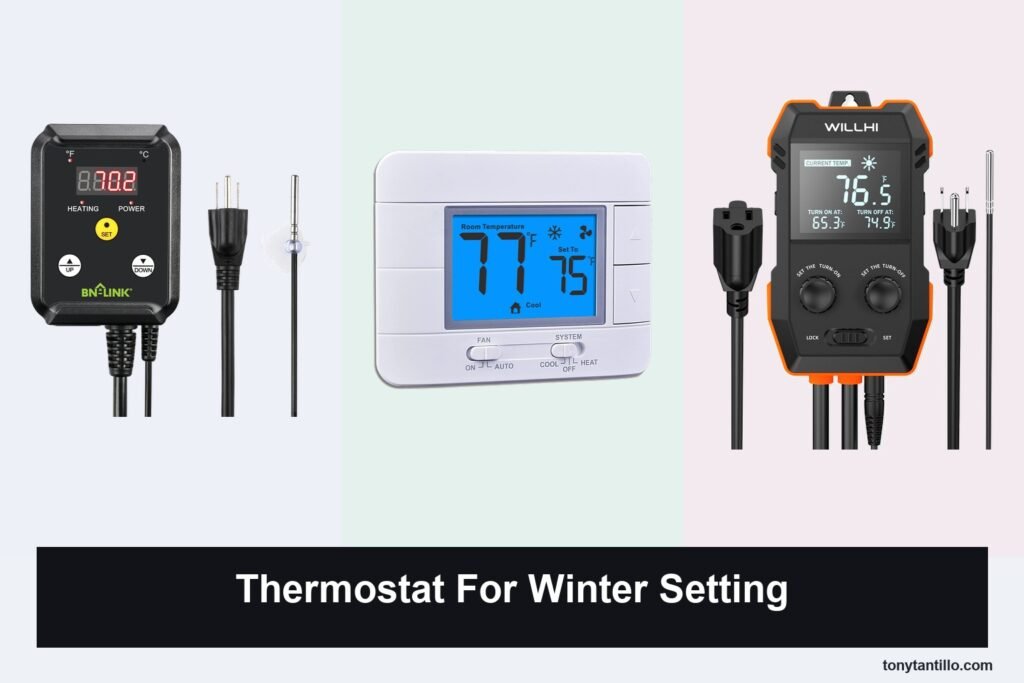 6 Best Thermostats for Winter Setting in 2026