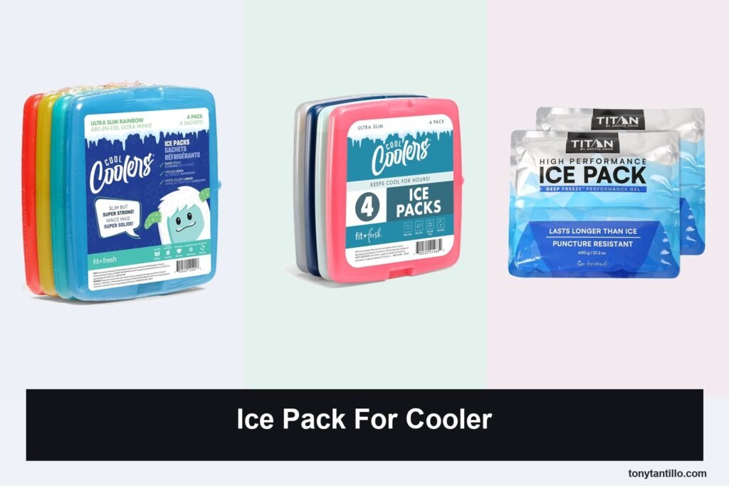 5 Best Ice Packs for Coolers in 2026