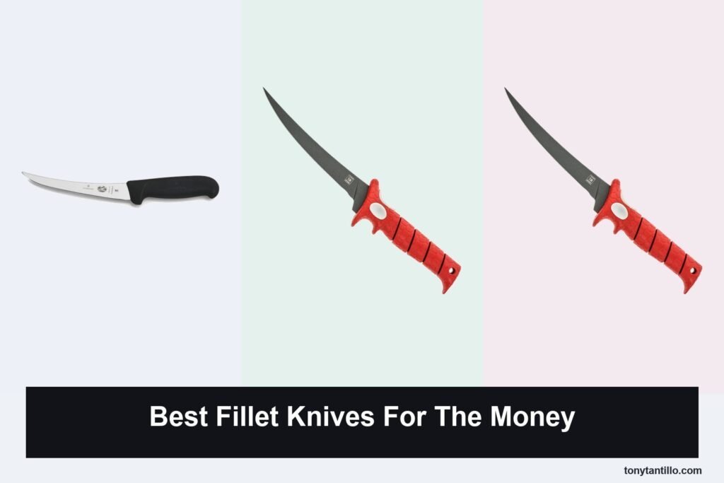6 Best Fillet Knives for the Money in 2026