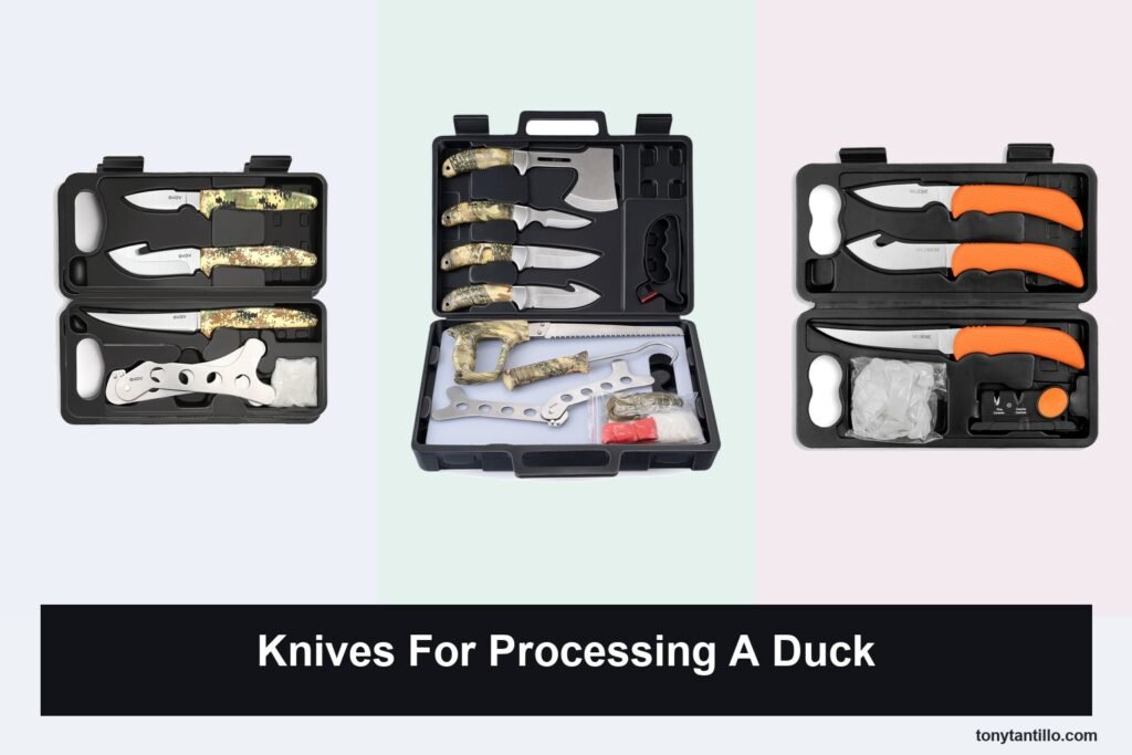 4 Best Knives for Processing a Duck in 2026