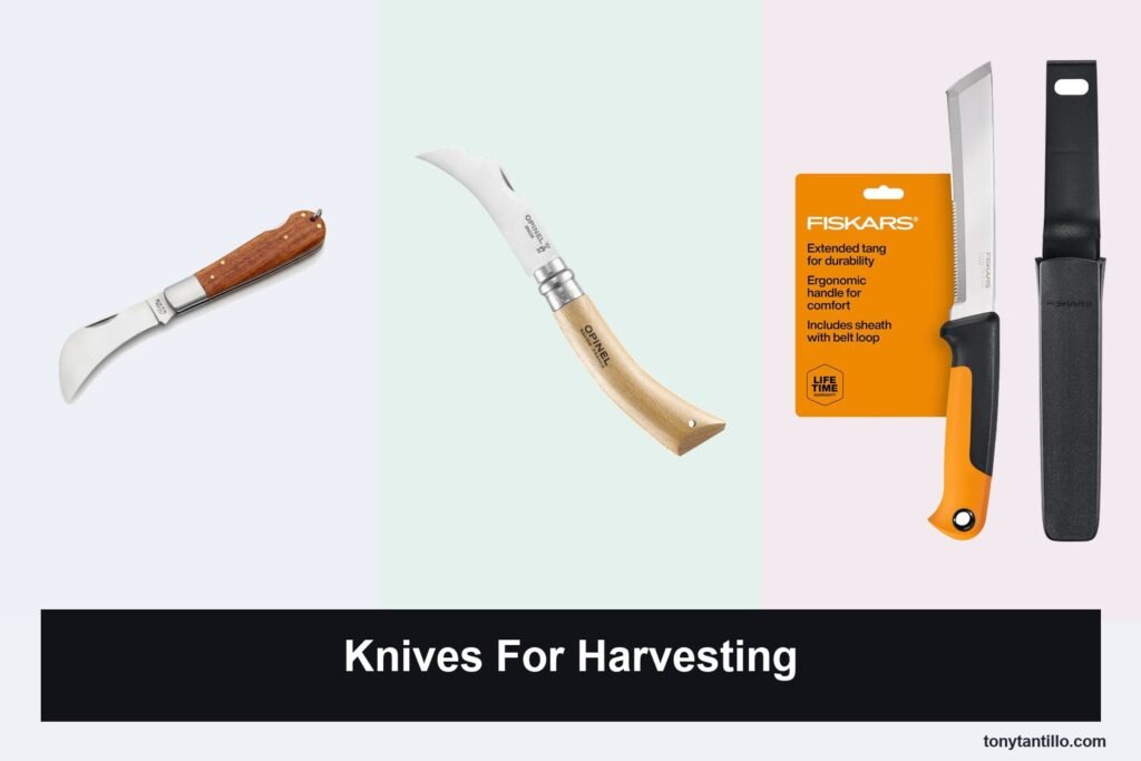 6 Best Knives for Harvesting in 2026
