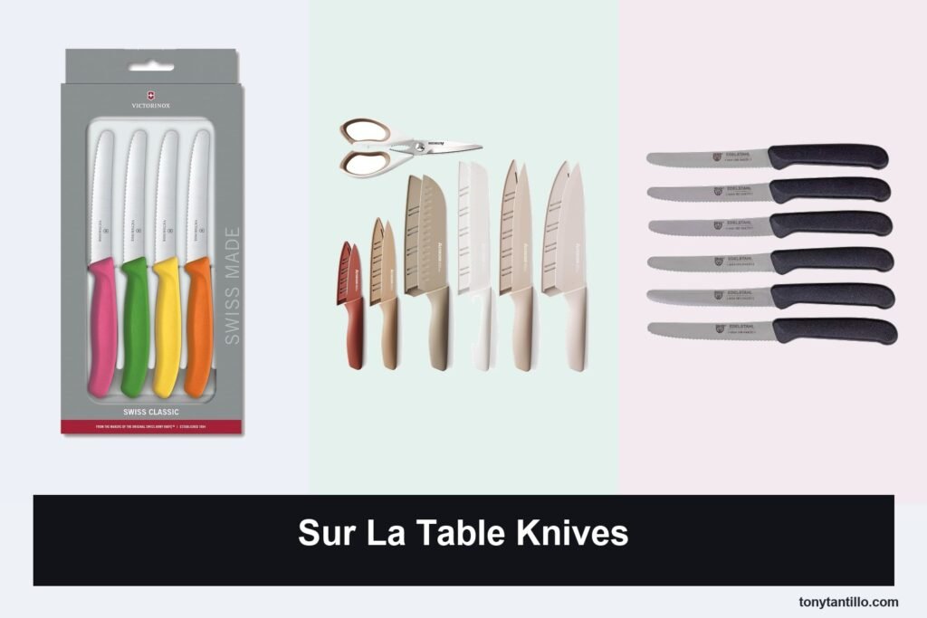 9 Best Sur La Table Knives for 2026